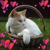 User avatar for Lou Jackson