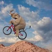 User avatar for Erin Moore