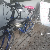 User avatar for Nicola Zielinski