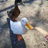 User avatar for Nicola Truuts