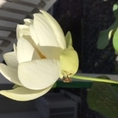 User avatar for Hilde Johnson Bogaerts