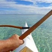 User avatar for Dale Robertson