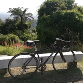 User avatar for Michael Quezon