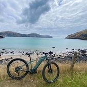 User avatar for Janet Edwards