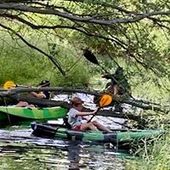 User avatar for Megan Struthers