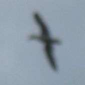 User avatar for Arnaud Chauchoy