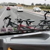 User avatar for Scott Walters