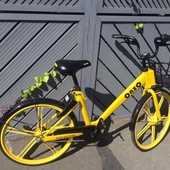 User avatar for Nicci Wood