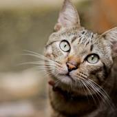 User avatar for Beau Fraser