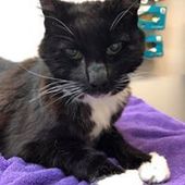 User avatar for Tamzin Christian