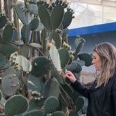 User avatar for Hannah Marceau