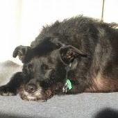 User avatar for Elizabeth Ann