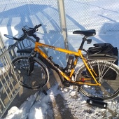 User avatar for Bruno Darrah