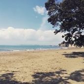 User avatar for Amelia Viv