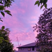 User avatar for Gretchen Anderson