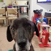 User avatar for Gordon Hastings