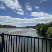 User avatar for Shannon Woodward