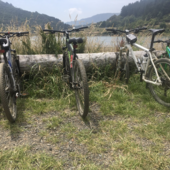 User avatar for John Wilson