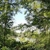 User avatar for Claudio Roda