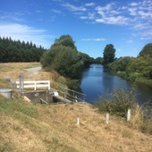 User avatar for Glenn Coster