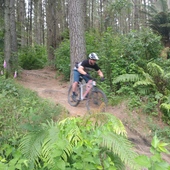 User avatar for Braden Schultz