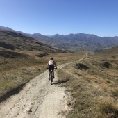 User avatar for Poppy Simpson Wells