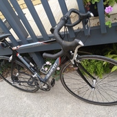 User avatar for Shayne Brookes