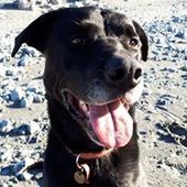 User avatar for Becs Boughton