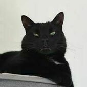 User avatar for Mélanie Verville