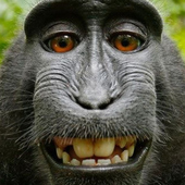 User avatar for Dana Smith