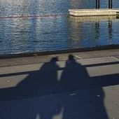 User avatar for Andres Felipe Marín Muñoz