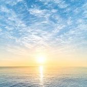 User avatar for Celeste Moidu