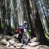 User avatar for Katy Smeele