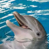 User avatar for Olly Chan