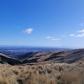 User avatar for Godfrey Palitog