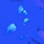 User avatar for Amanda Frick