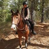 User avatar for Ann England