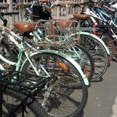 User avatar for Kelly Meads