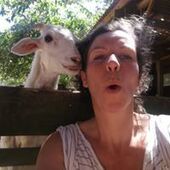 User avatar for Frangi Pani