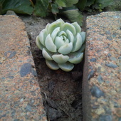 User avatar for Eshan Lee