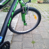 User avatar for Gene Lee