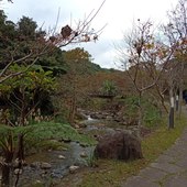 User avatar for Fang Yuan Lee