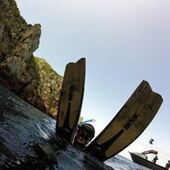 User avatar for Penelope Wilson