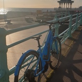 User avatar for Alicia King