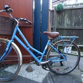 User avatar for Claire Donald