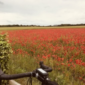 User avatar for Peter Joyce