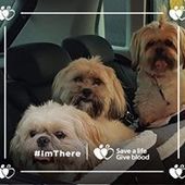 User avatar for Brenda Carnegie