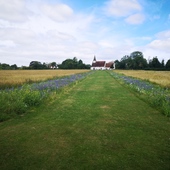 User avatar for Allwyn Picardo