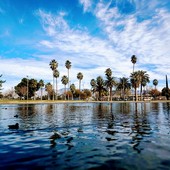 User avatar for Alyssa Bowers