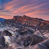 User avatar for A Michael Basham